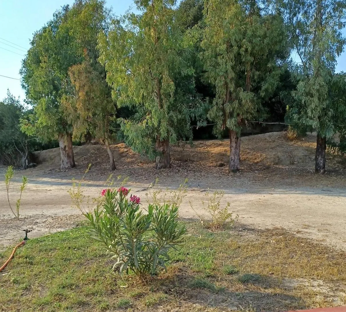 Nerissa 3, Two Bedroom Beach House Spartia  Spartia (Kefalonia)